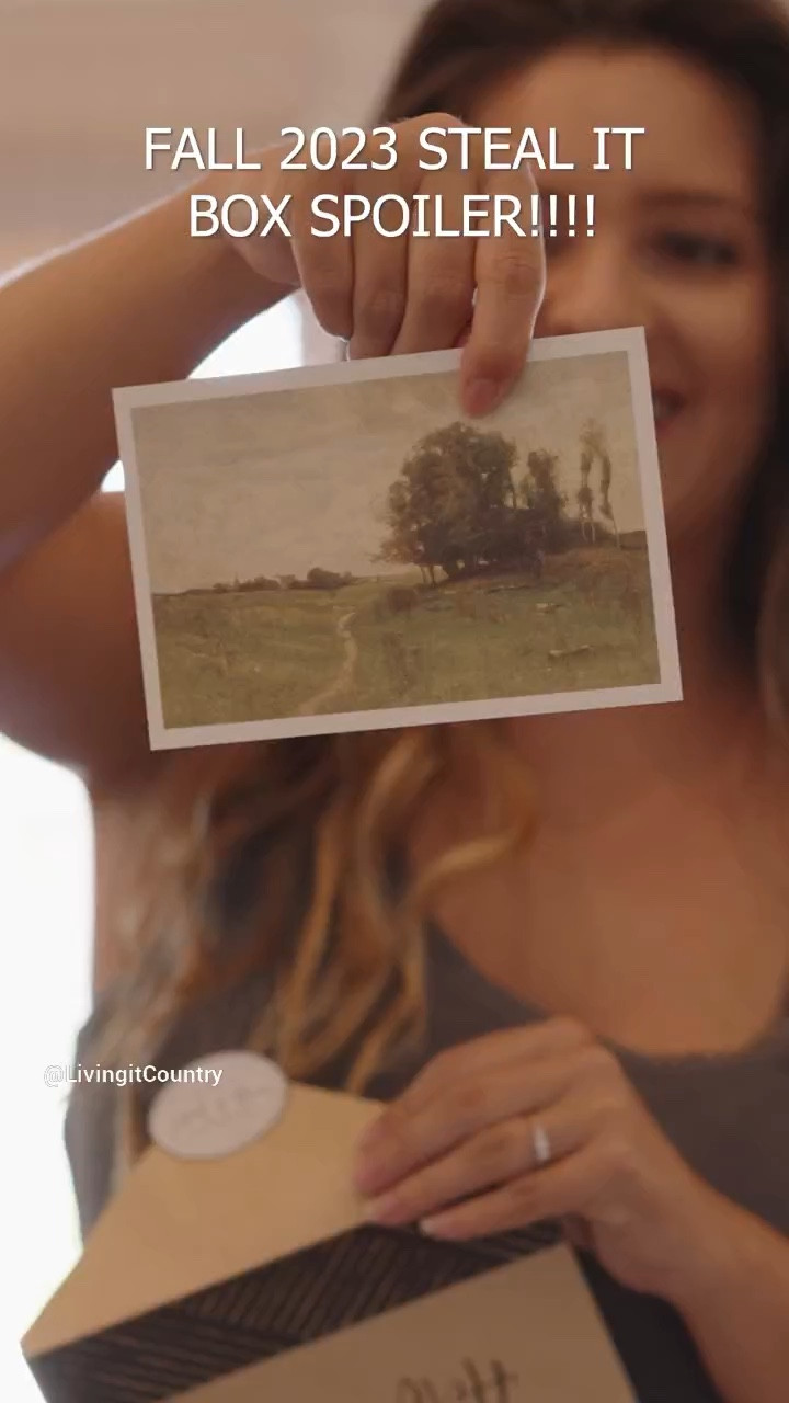 The Fall Steal it Box is Officially live! We have so many great videos on our channel of it on Living it Country. Let me know what your favorite item is 😄🍂🍁

#LTKSeasonal #LTKFind #LTKhome