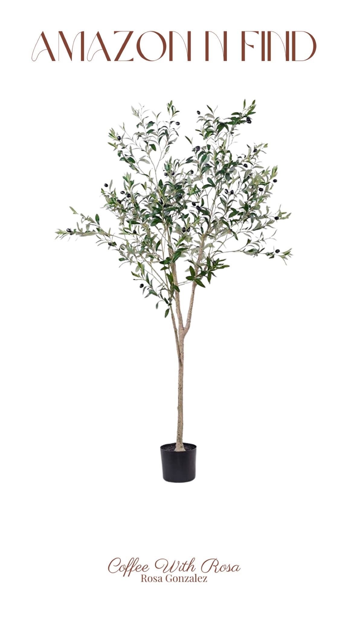 Olive tree under $100

#LTKHome #LTKSaleAlert #LTKFindsUnder100