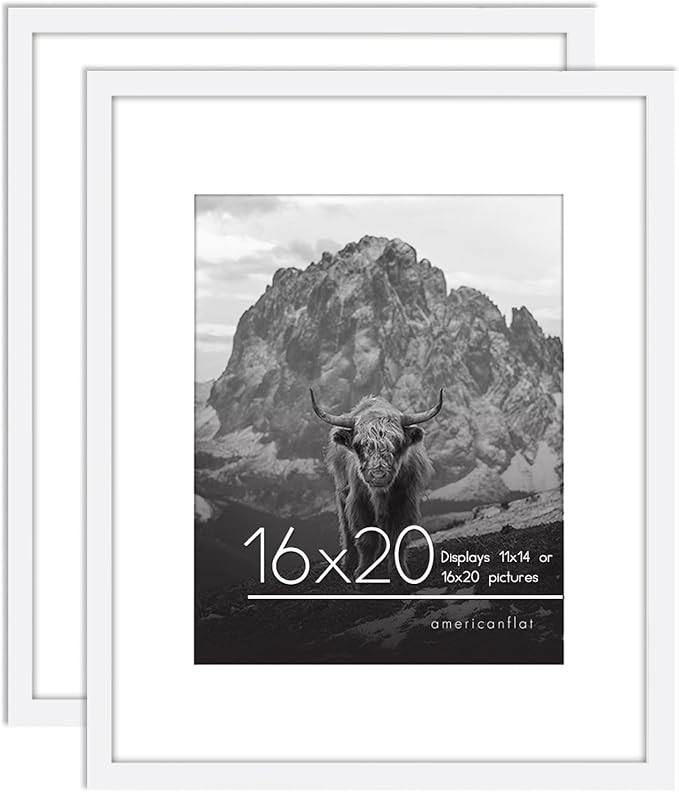 Americanflat 16x20 Poster Frame in White - Set of 2 - Use as 11x14 Picture Frame with Mat or 16x2... | Amazon (US)