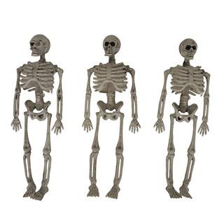 6" Bag of Skeletons, 3ct. by Ashland® | Michaels | Michaels Stores