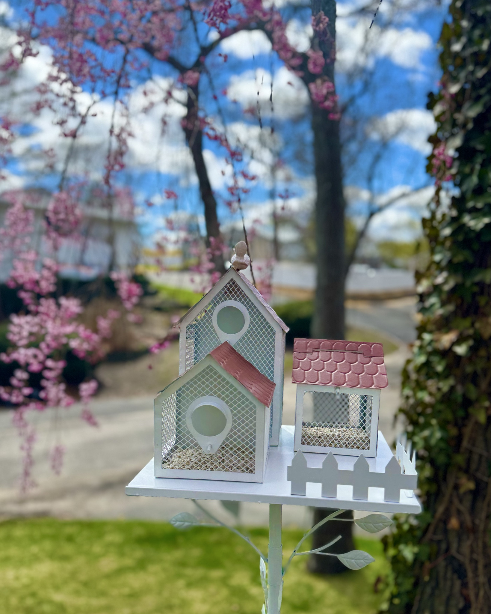 Adorable bird feeder .

#LTKHome #LTKSeasonal