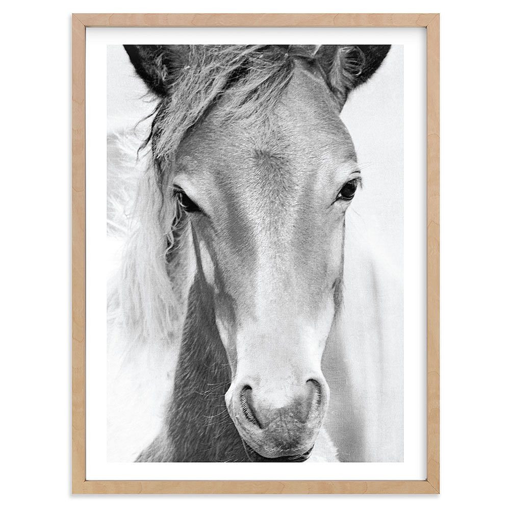 Minted® Wild and Free Framed Art | Pottery Barn Teen