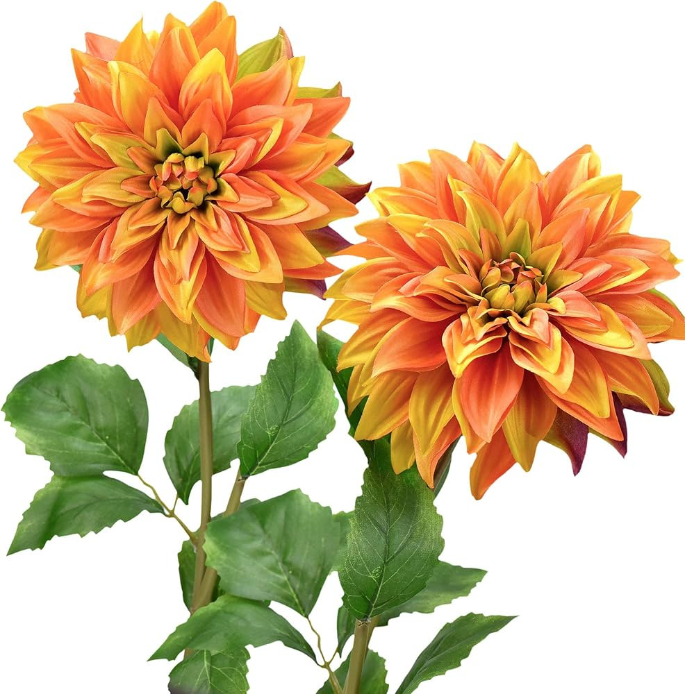 FiveSeasonStuff Artificial Flowers Dahlia Silk Flowers for Outdoors Indoors and Tall Vases 2 Stem... | Amazon (US)