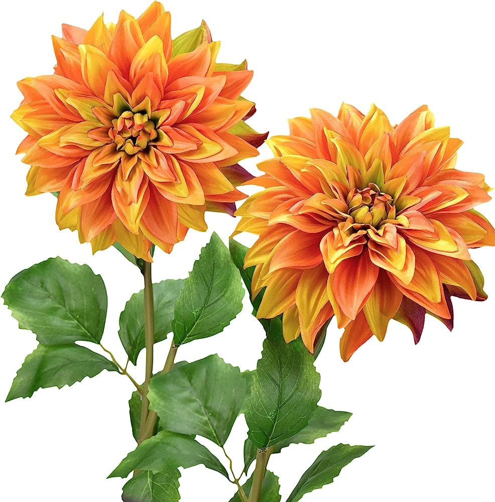 FiveSeasonStuff Artificial Flowers Dahlia Silk Flowers for Outdoors Indoors and Tall Vases 2 Stem... | Amazon (US)