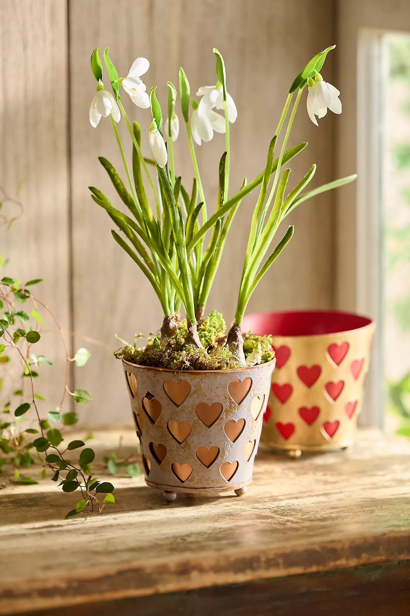 Heart Lattice Iron Pot | Anthropologie (US)