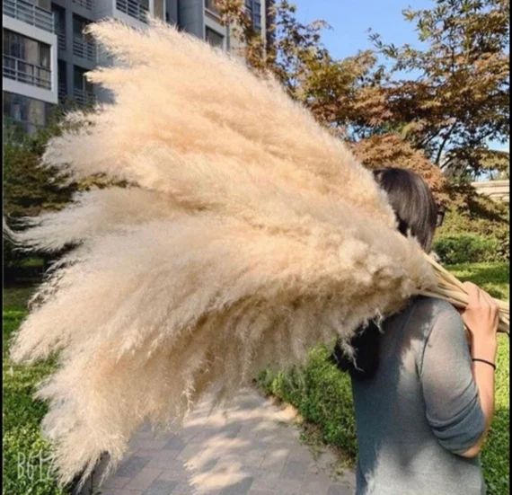 4ft Natural 5Pcs XL Pampas Grass Fluffy - Restock Sale, Home Decor, Wedding Arch, Dried Floral, S... | Etsy (US)