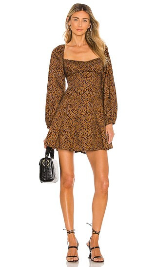 Leopard Print Dress in Leopard | Revolve Clothing (Global)