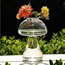 Pack of 2 Mushroom Shaped Glass Planter Vase Desktop Clear Plant Terrarium for Hydroponics Plants Fl | Amazon (US)