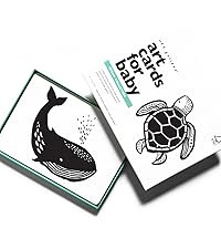 Wee Gallery Black and White Art Flash Cards for Babies, High Contrast Educational Animal Picture ... | Amazon (US)