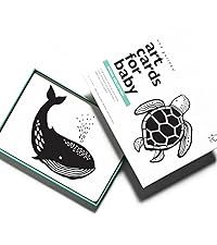 Wee Gallery Black and White Art Flash Cards for Babies, High Contrast Educational Animal Picture ... | Amazon (US)