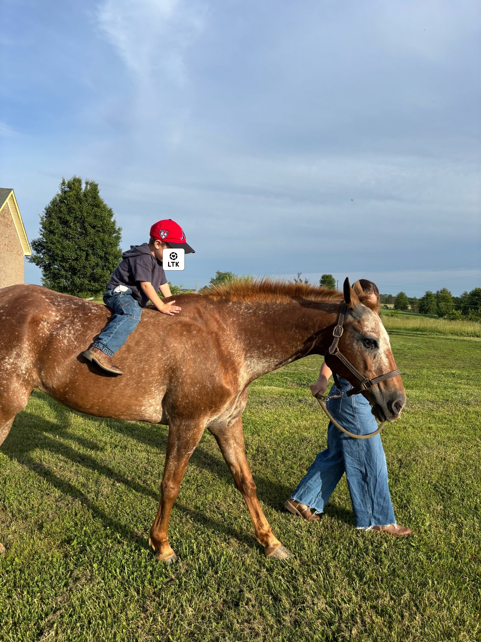 Love teaching my boy all about my favorite hobby pre babies ❤️ still my favorite hobby I just get to share it with them now! Praying he learns gentleness and respect as he continues to grow with these animals!

#LTKmomlife #LTKootd #LTKfitnessgoals