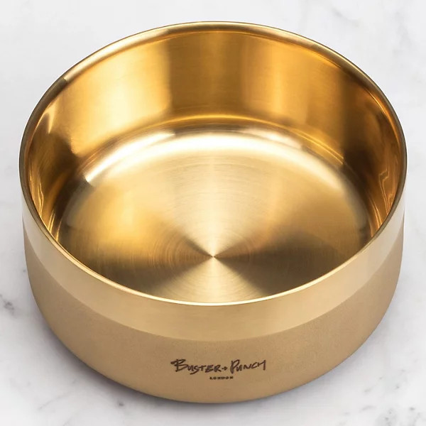 Dog Bowl | Lumens