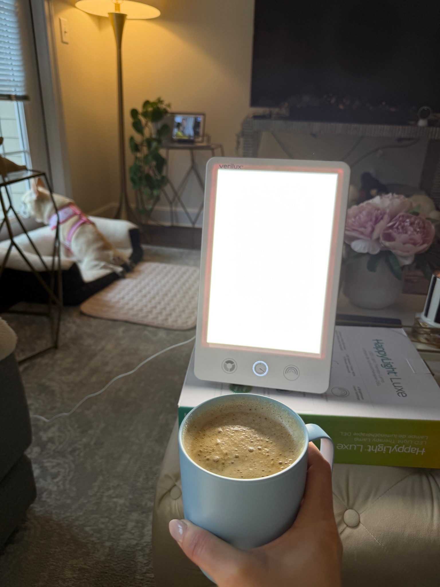 Trying anything for the winter blues #happylight #verilux # sunlight #vitamind

#LTKHome #LTKdayinmylife #LTKActive