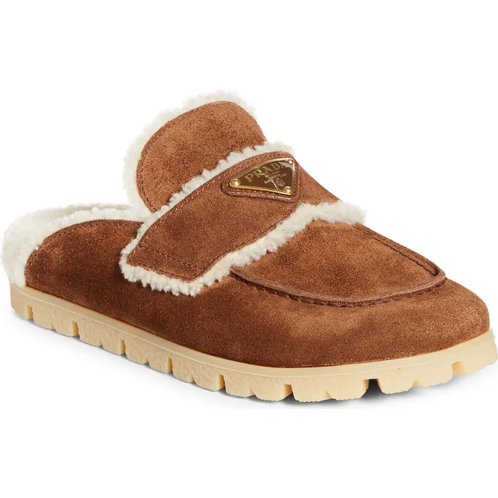 Prada Genuine Shearling Mule in Cacao at Nordstrom, Size 9.5Us | Nordstrom