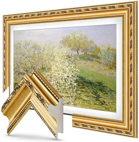 Ornate Gold 65" Premiere Deco TV Frame - Compatible ONLY with Samsung The Frame TV and Pro TVs (F... | Amazon (US)
