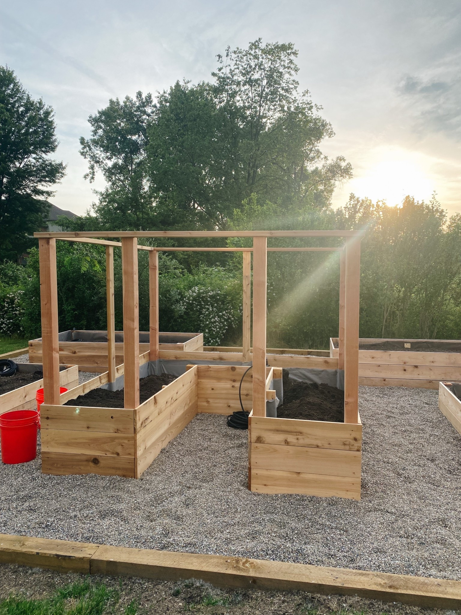 Over time, my interest in gardening has grown year after year so I decided I really wanted to step it up a bit. I knew if I was going to expand the amount I could plant, then I would definitely need an enclosed garden bed. #enclosedgardenbed #raisedgardenbed #homegarden #homegardening #DIYgarden #DIYhomegarden #gardening #gardendesign #gardenlayout

#LTKOver40 #LTKSeasonal #LTKHome