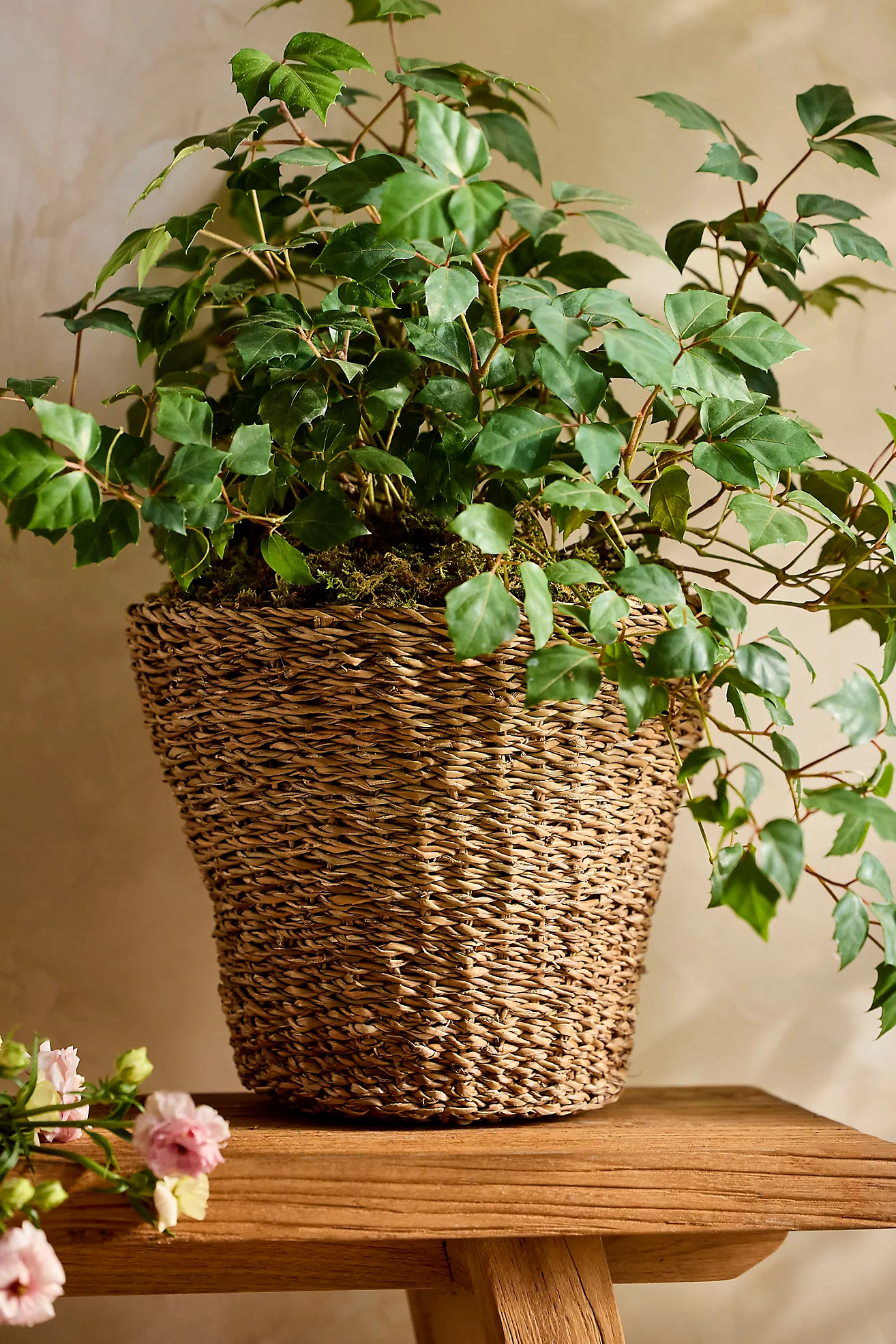 Woven Rattan Taper Basket Planter | Anthropologie (US)