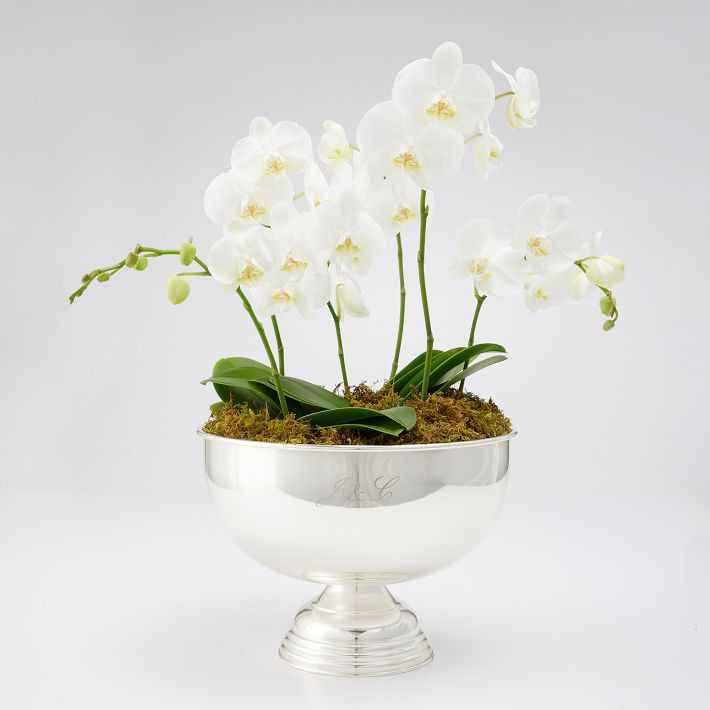 Celebration Wine Bowl | Mark and Graham