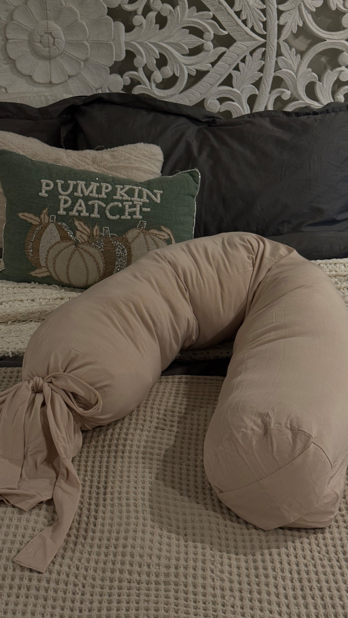 Pregnancy pillow! Shade Sparrow! 

#LTKBump #LTKBaby #LTKGiftGuide