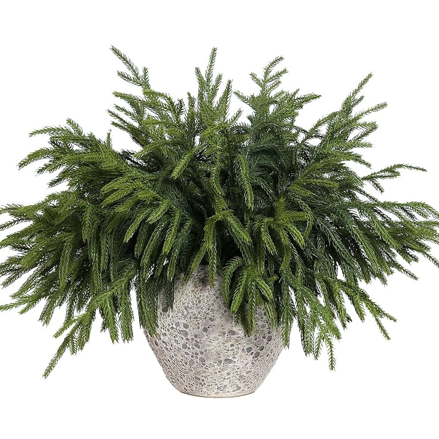 YXZZWL 16 Pcs 18 Inch Real Touch Artificial Norfolk Pine Branches, Faux Cedar Pine Stem Fake Gree... | Amazon (US)