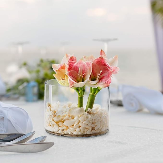 Serene Spaces Living Clear Glass Cylinder Vase, Use for Floral Arrangements or as Candle Holder, ... | Amazon (US)