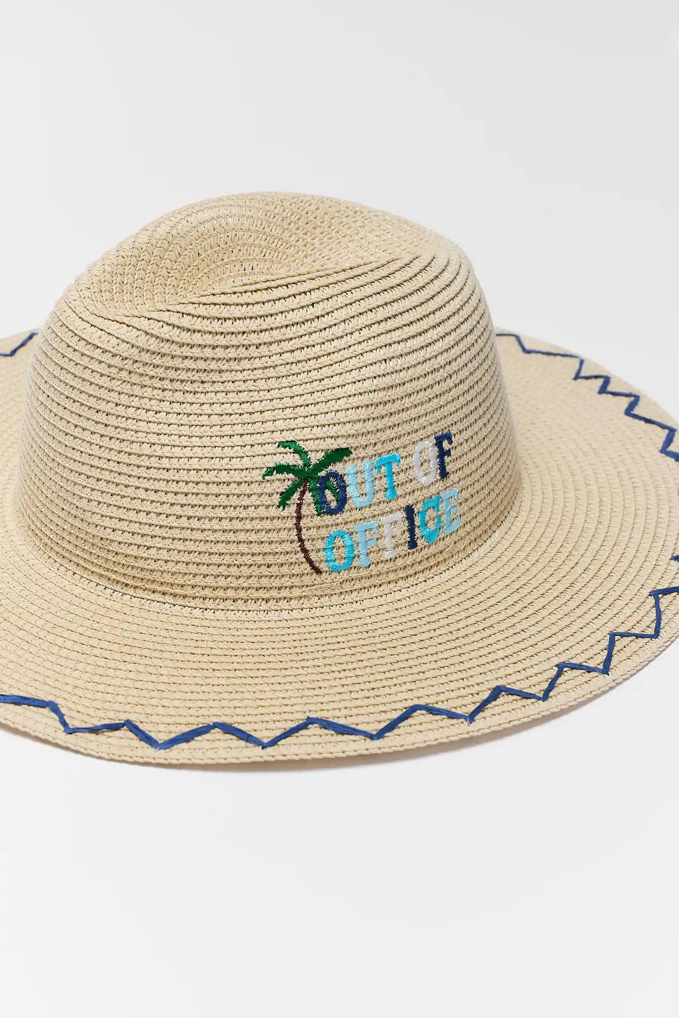 Raffia Embroidered Wide Brim Hat | Avara