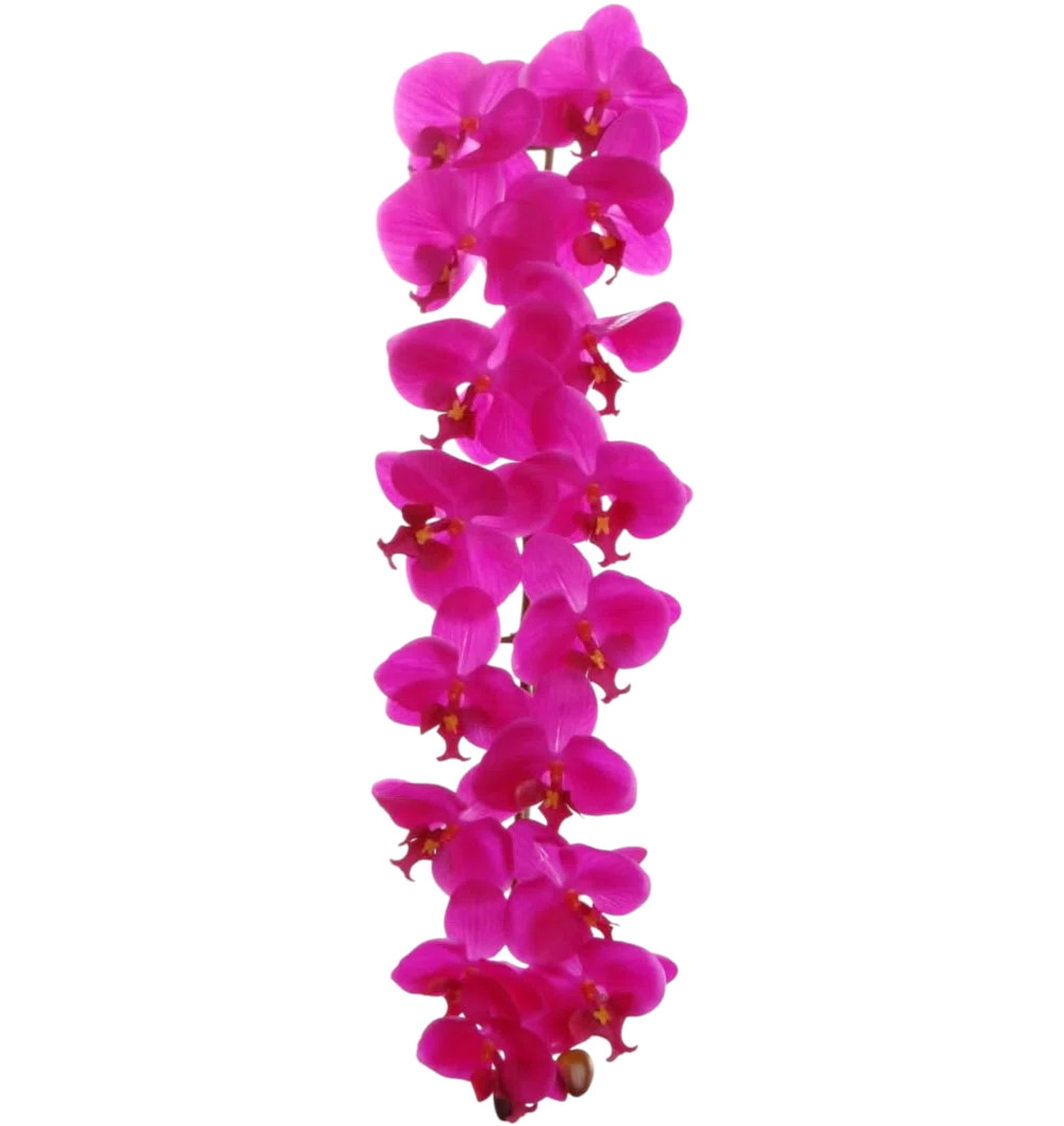 4pcs Fuchsia 49" Phalaenopsis Orchid Stem - 2025 Spring Collection (Set of 50) | Wayfair North America