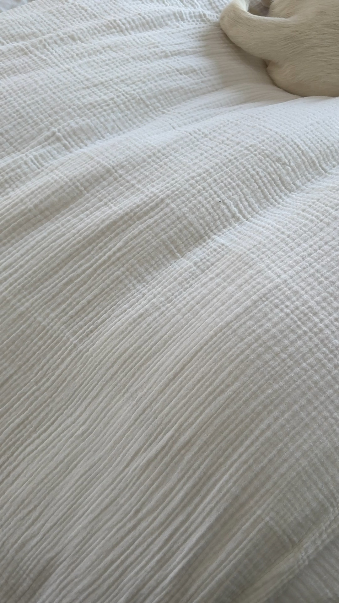 One of my favorite duvets this time of year! This Quince gauze bedding is SO warm and soft (and truly affordable!) we have a full set for every bed in our home 🙌🏻

#LTKSeasonal #LTKSaleAlert #LTKHome