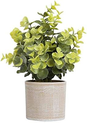 Megbeauty Small Fake Plants Potted - Fake House Plants for Home Decor, Office (Eucalyptus) | Amazon (US)