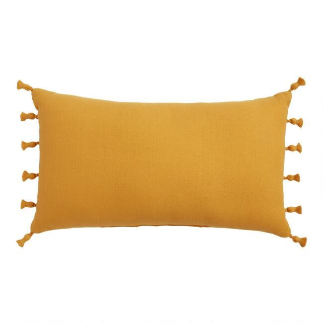Woven Tasseled Indoor Outdoor Lumbar Pillow | World Market