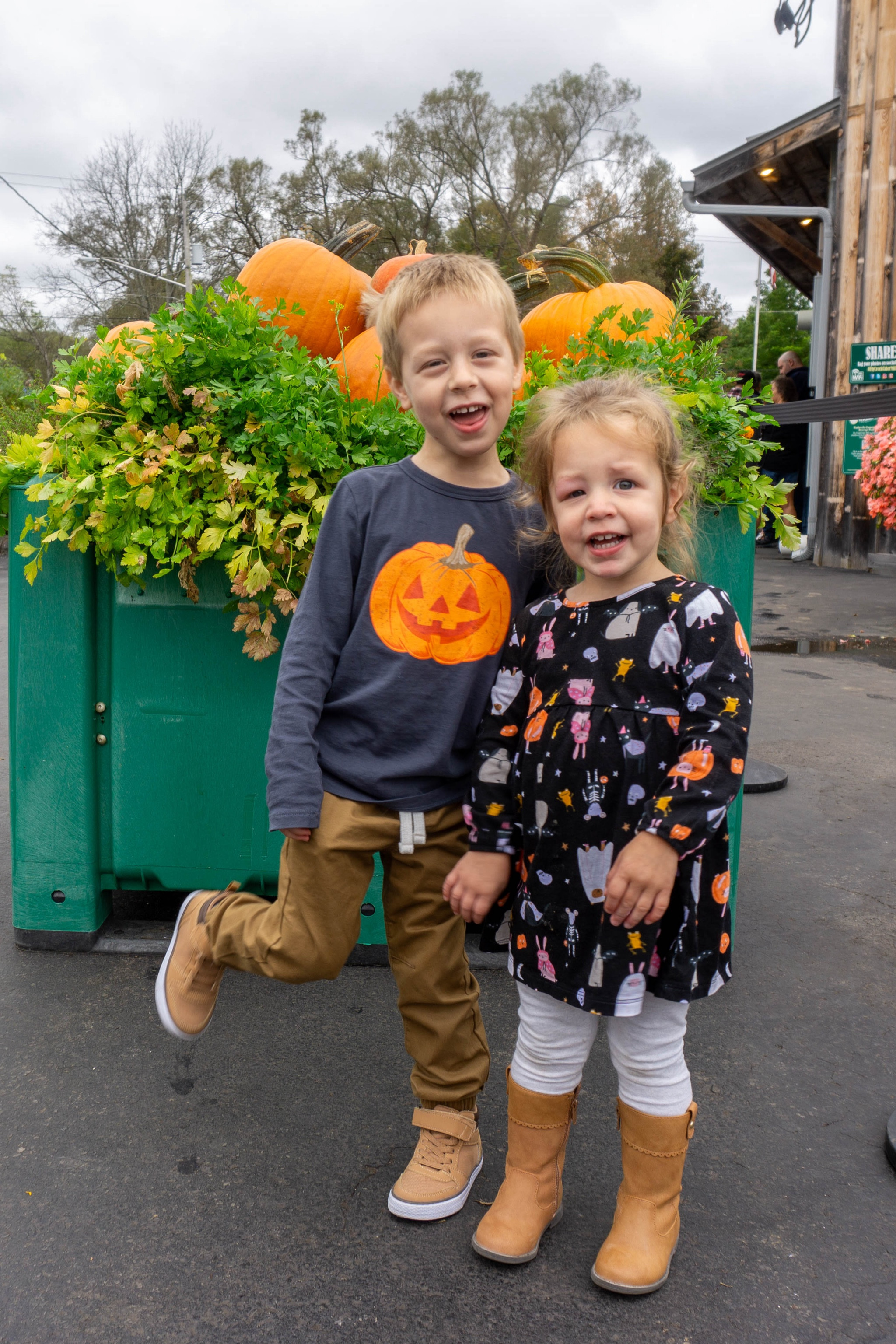 Kids Halloween clothes, toddler Halloween, little boy, little girl, Halloween dress, pumpkin shirt, toddler boy khaki pants, affordable kids clothes

#LTKKids #LTKSeasonal #LTKHalloween