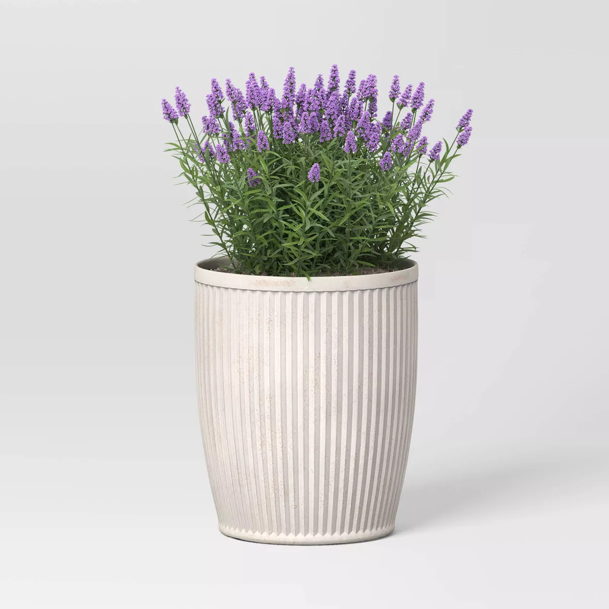 Weathered Ribbed Composite Indoor Outdoor Planter Pot 12"x12" Off-White - Threshold™ designed w... | Target