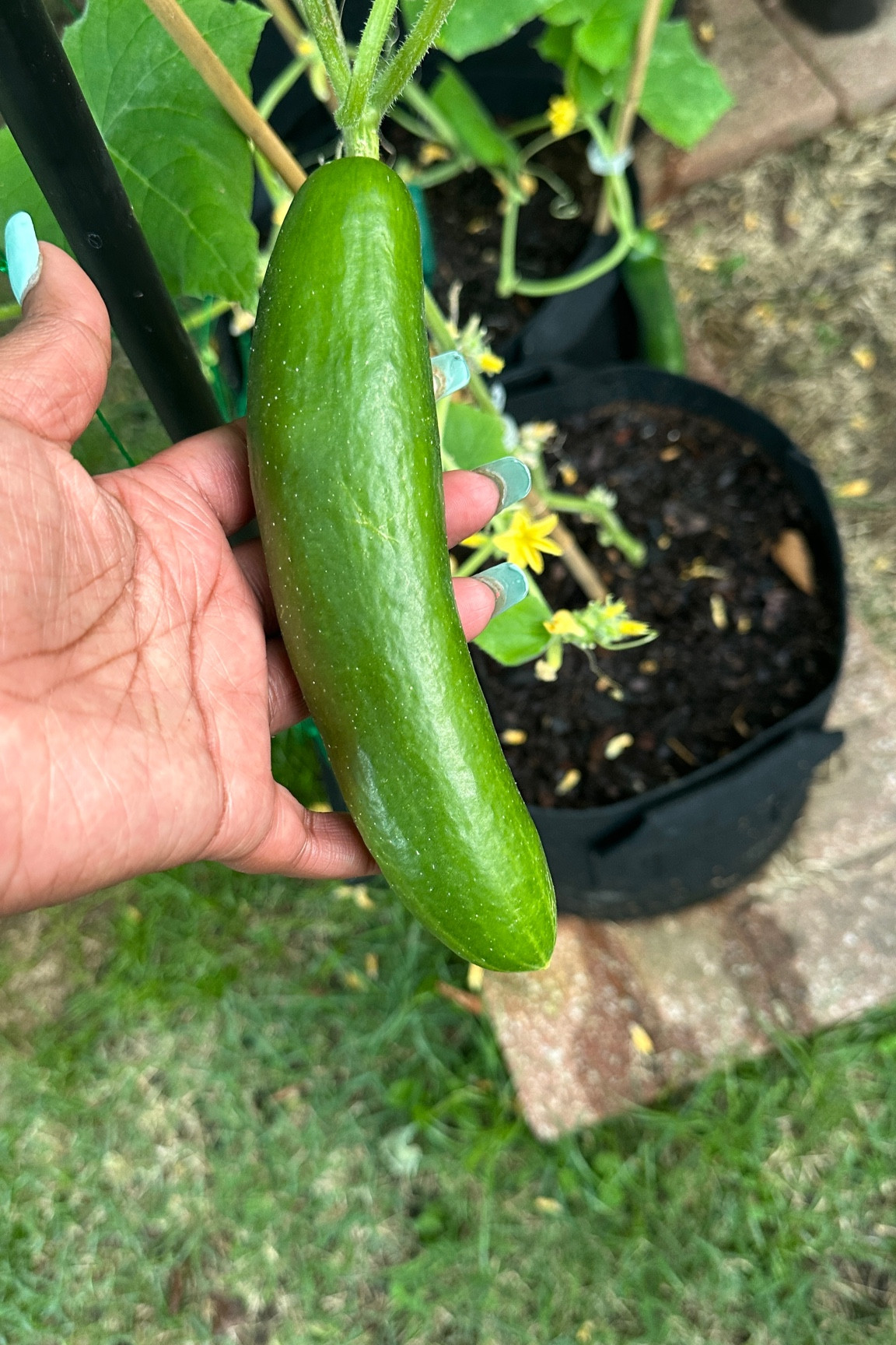 My husband and I started a garden and im sharing all the  tools I use for the garden. 

#LTKHome #LTKActive