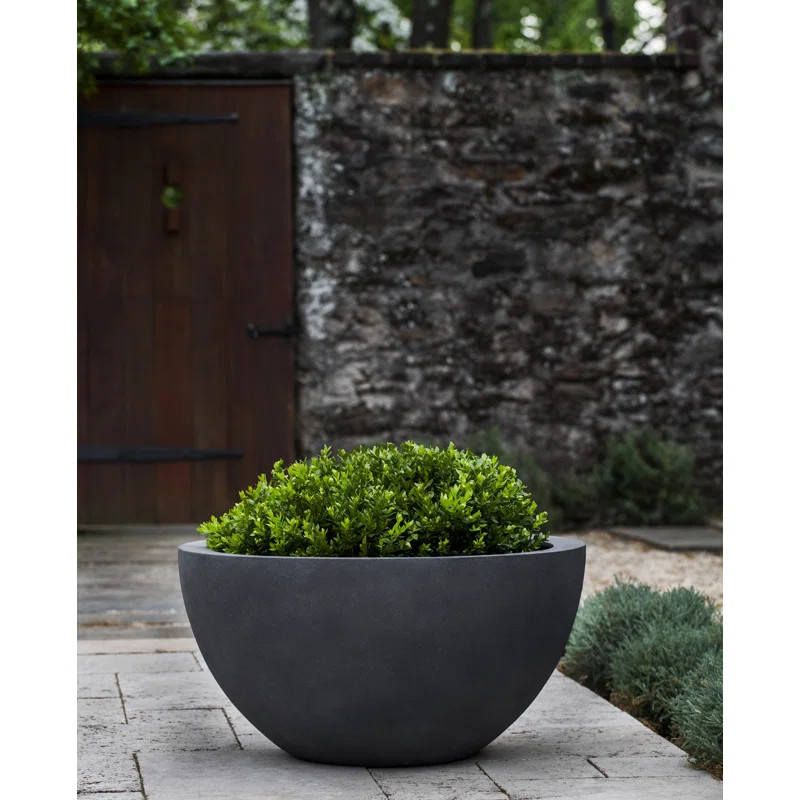 Piccadilly Handmade Pot Planter | Wayfair North America
