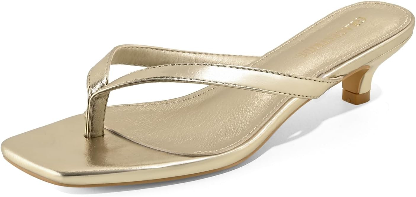 Women’s Flip-Flops Kitten Heels Thong Sandals For Women Square Toe Slip On Fashion Summer Dress... | Amazon (US)
