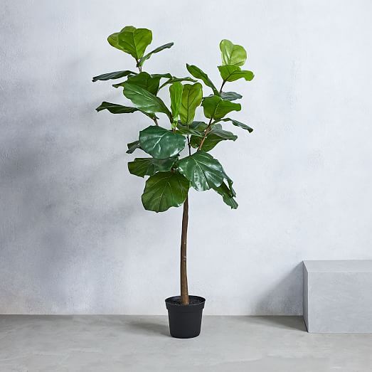 Faux Potted Fiddle Leaf Fig Plant - 5' | West Elm (US)