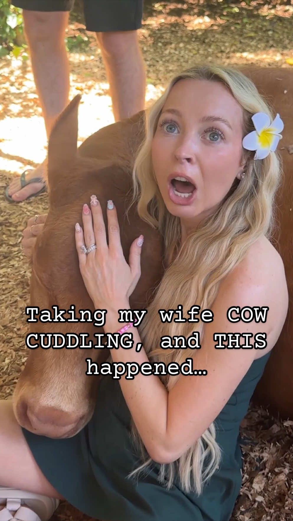 I think the cows liked the cuddling! 😂 Not Ellie getting smacked by a cow tail! 😅 

backstory ::: We were on an adventure in Hawaii and Tay saw a sign that said “cow cuddling.” It wasn’t in his original itinerary, but he thought that we had to go investigate! So we drove down a bumpy farm road and ended up in a dirt parking lot with hand-drawn “cow cuddling” signs. 

We got out, and I was unsure at first, but we went inside. There were a bunch of cows all relaxing in the shade, and people were taking turns petting and cuddling them! 🥹 

Ellie walked around to pet and hug each one. She loved the cuddling, and then Tay finally gave it a try, and the cow started cuddling back! 🥹 It was such a fun little pit stop in our adventure, and I’m glad we decided to do it! 🐮

#LTKootd #LTKmomlife #LTKKids