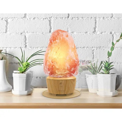 Himalayan 5.3 lbs Salt Lamp iHome | Wayfair North America