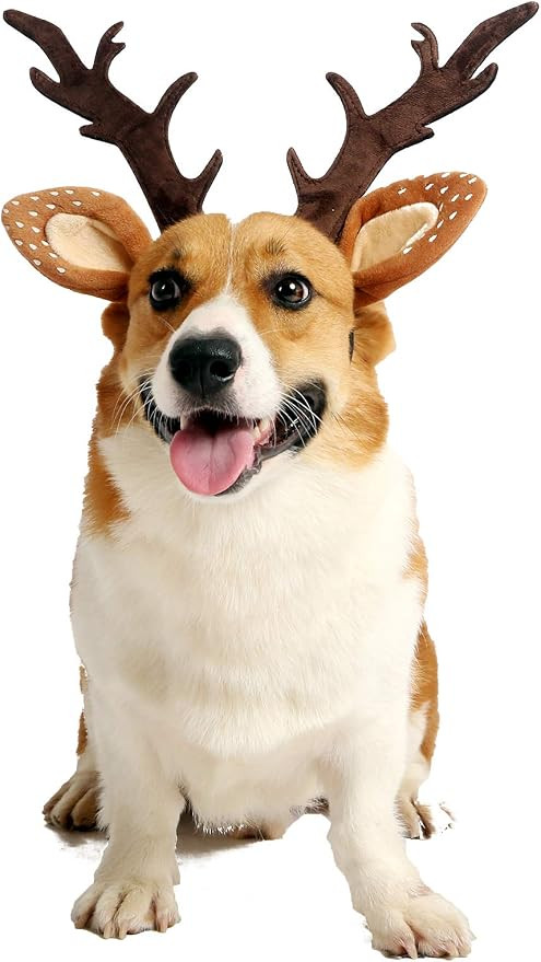 Pet Deer Costume Hat Merry Christmas Dog Antlers Headbands Elastic Band Adjustable Reindeer Cap H... | Amazon (US)