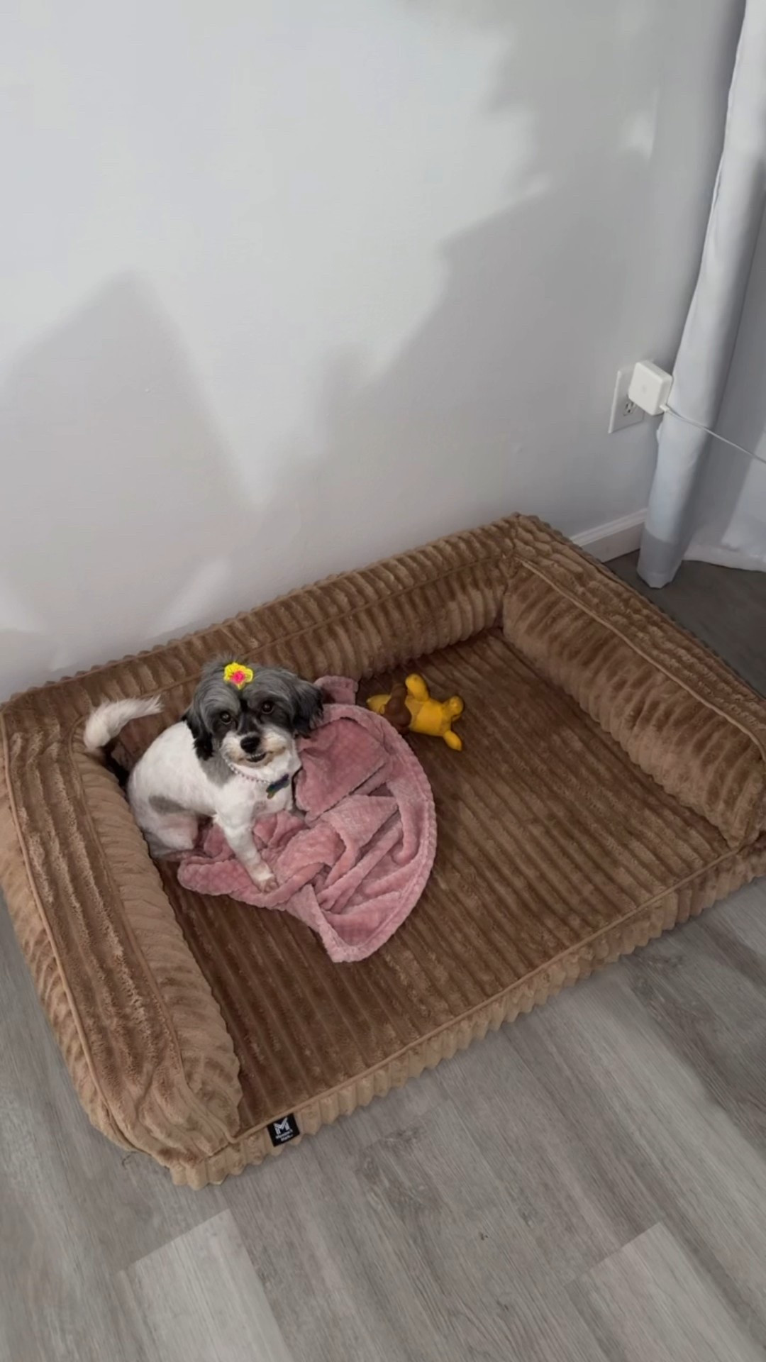 Sofa dog bed (large) 

#LTKSeasonal #LTKGiftGuide #LTKFindsUnder100