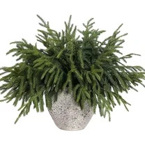 CleanX 16 Pcs Christmas Norfolk Pine Branches, 18 Inch Real Touch Artificial Norfolk Pine Branch ... | Walmart (US)