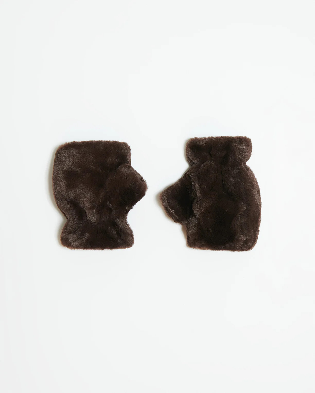 Ariel Espresso | Apparis