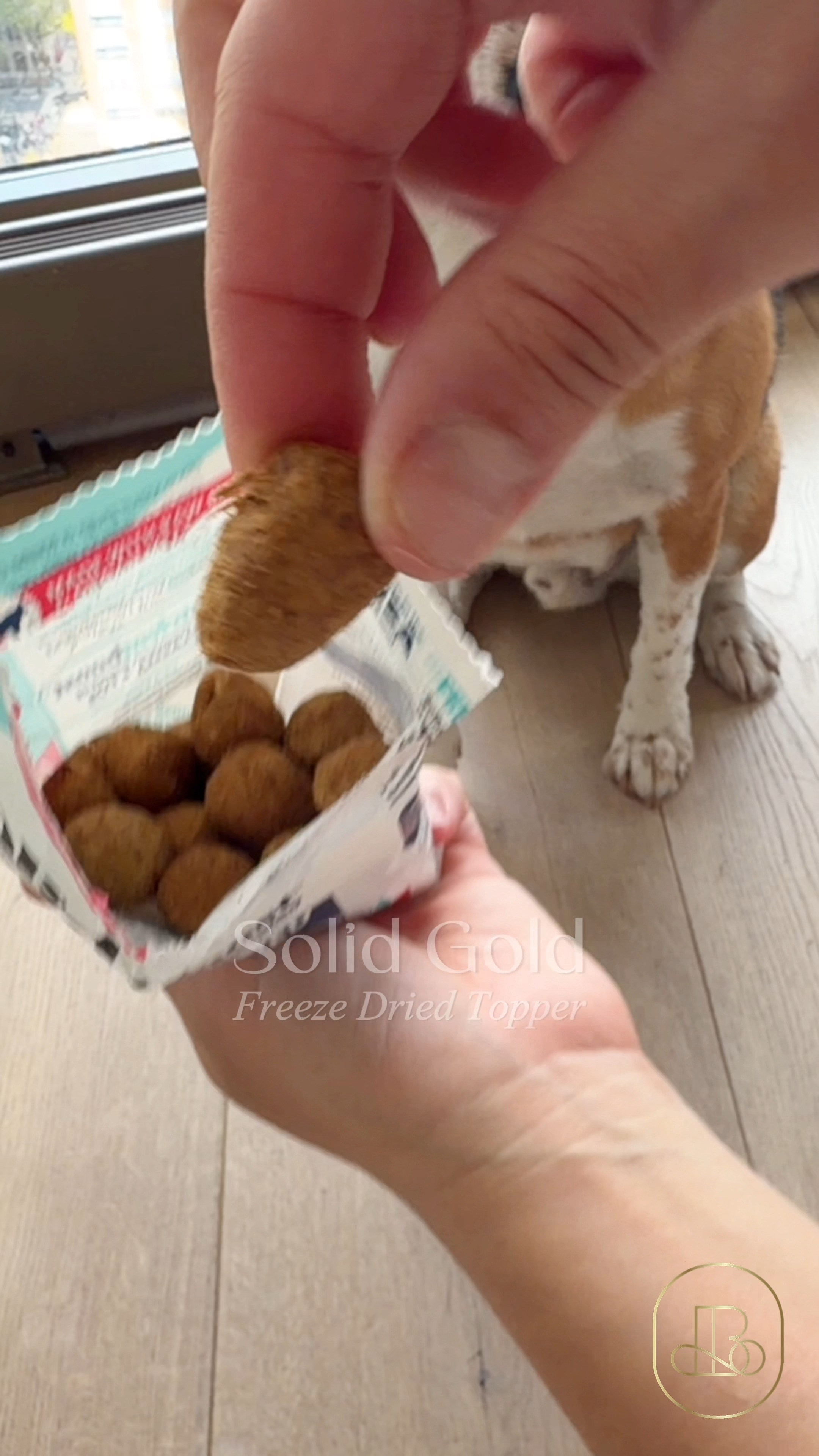 If your dog or cat stares at their bowl with zero enthusiasm or leaves half their kibble behind every night, mealtime can get frustrating fast 🥩 I mix Solid Gold Freeze Dried Raw Toppers into my pet's meals to deliver a powerful boost of raw vitamins, minerals, and natural digestive enzymes. It’s crafted with high-protein meats and superfoods to support healthy digestion, immune strength, and coat shine from the inside out. Great buy if you need a raw, minimally processed protein topper packed with natural enzymes and vitamins for digestive health. 🐶 #solidgoldpet #rawmealtopper #dogfoodtopper #petnutrition #freezedriedraw #petwellness #guthealthforpets #caninehealth #petcareessentials 

#LTKHome