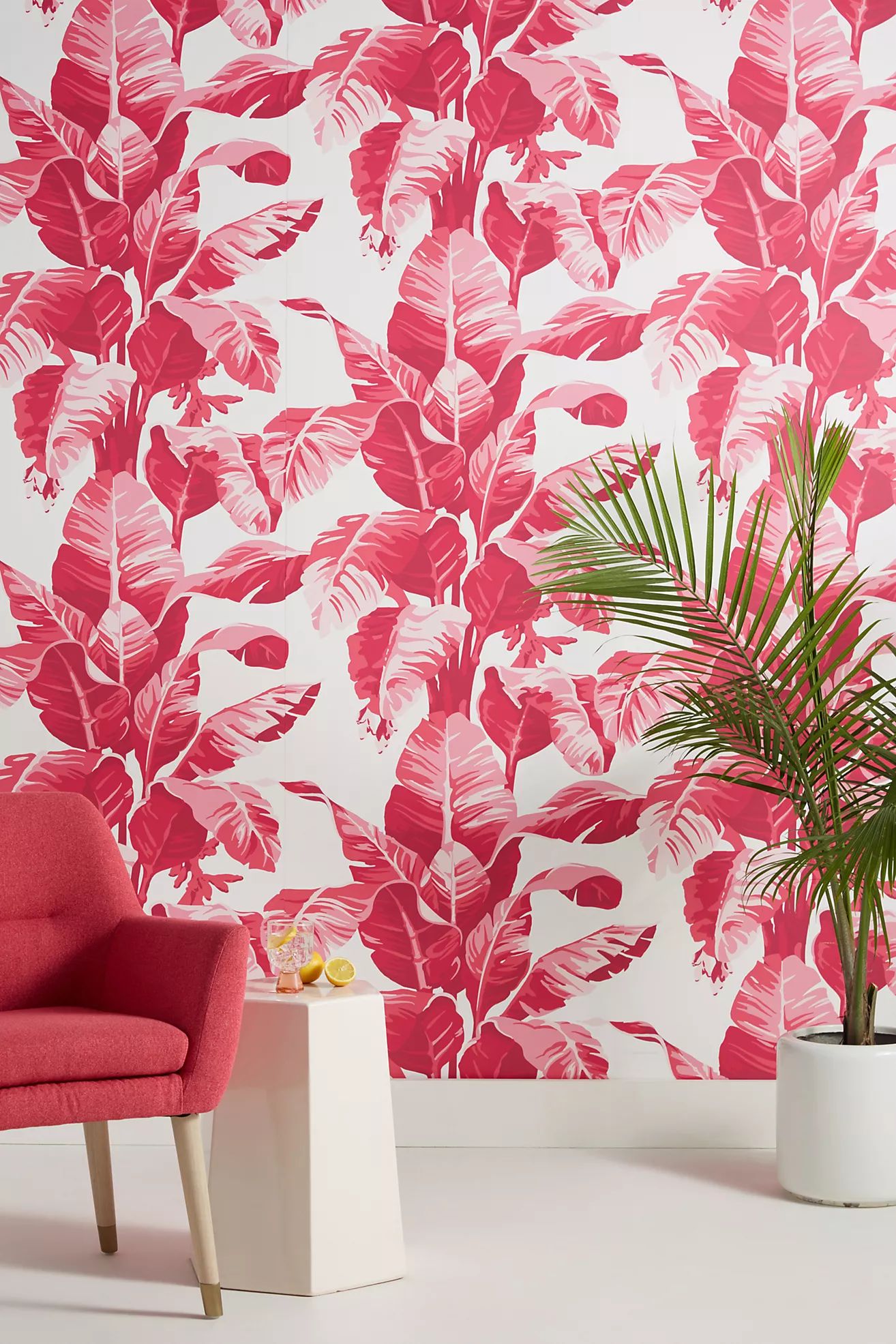 Electric Palm Wallpaper | Anthropologie (US)