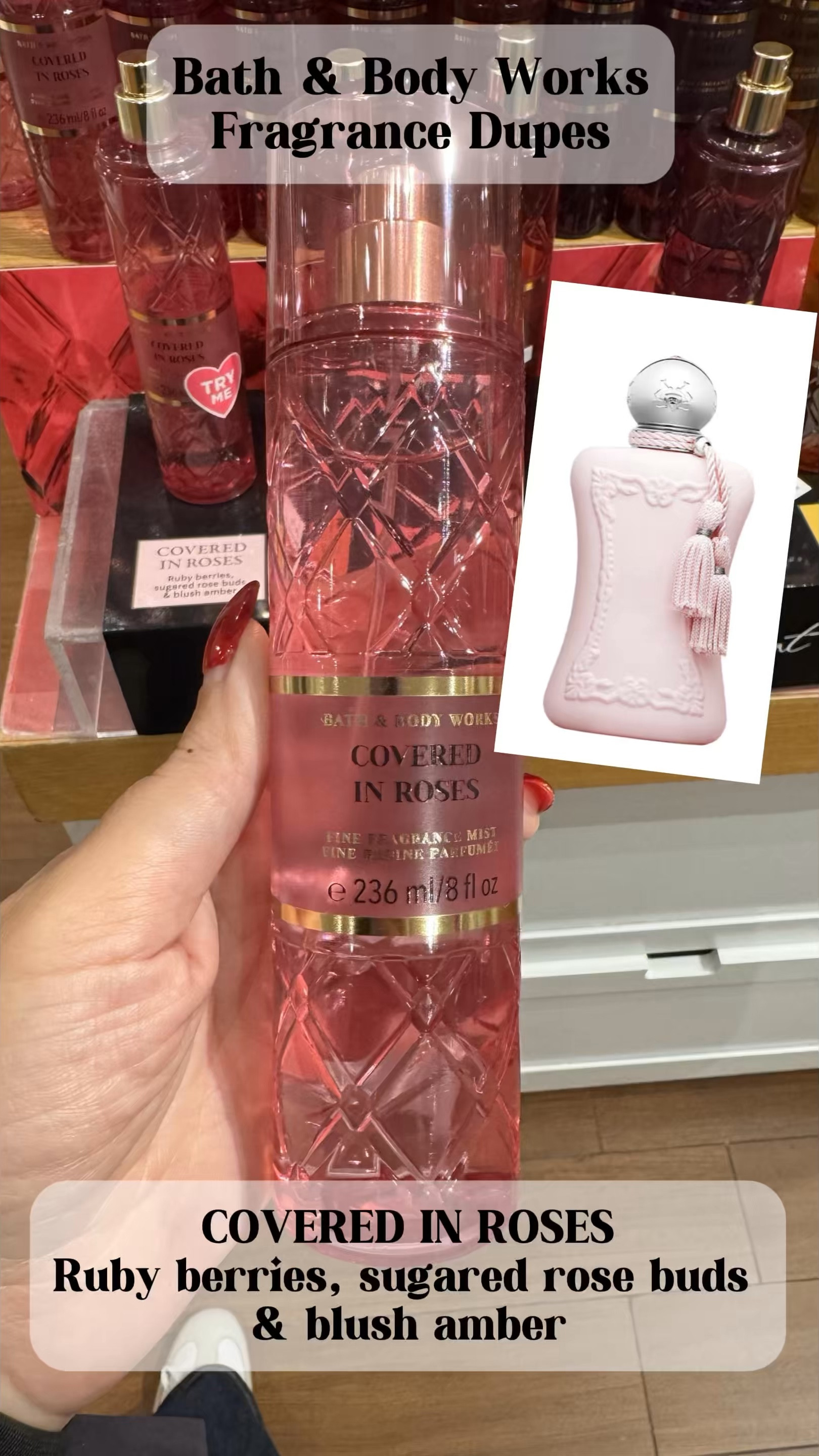 ✨ Discover the magic of Bath & Body Works! ✨ Dive into this fabulous collection of perfume dupes that capture the essence of luxury at an unbeatable price. From floral to fruity, find your perfect scent match and elevate your fragrance game. 🌸💖
Scroll down to SHOP and FOLLOW for more🫶

#LTKfamily #LTKgiftguide #LTKbeauty