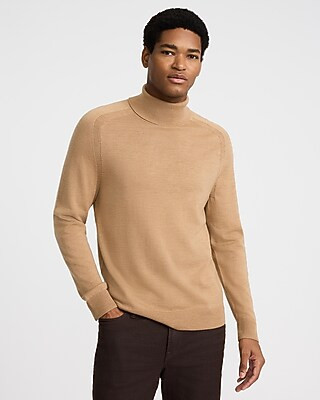Turtleneck Everyday Performance Merino Wool Sweater | Express