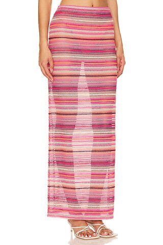 Raine Skirt in Multi | Revolve Clothing (Global)