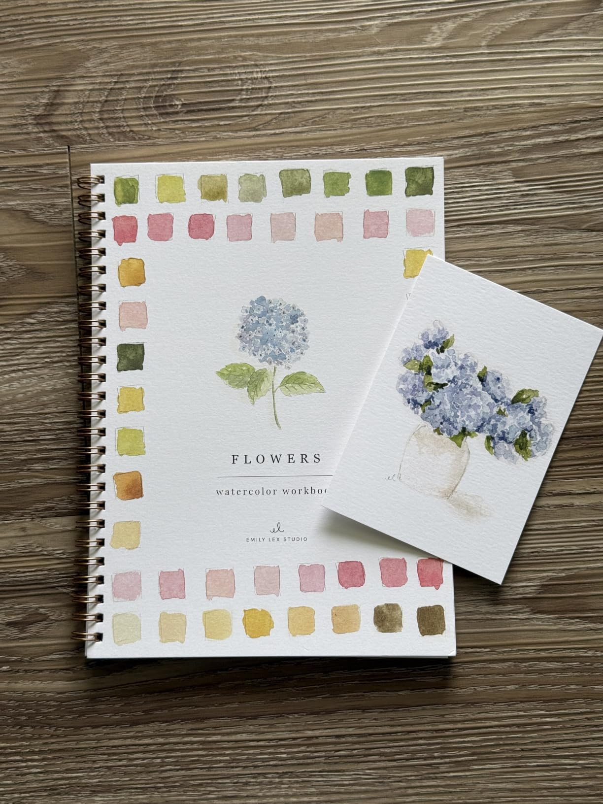 Autumn Watercolor Workbook by Emily Lex Studio, 12 Beginner Friendly Sketched Illustrations, Lay ... | Amazon (US)