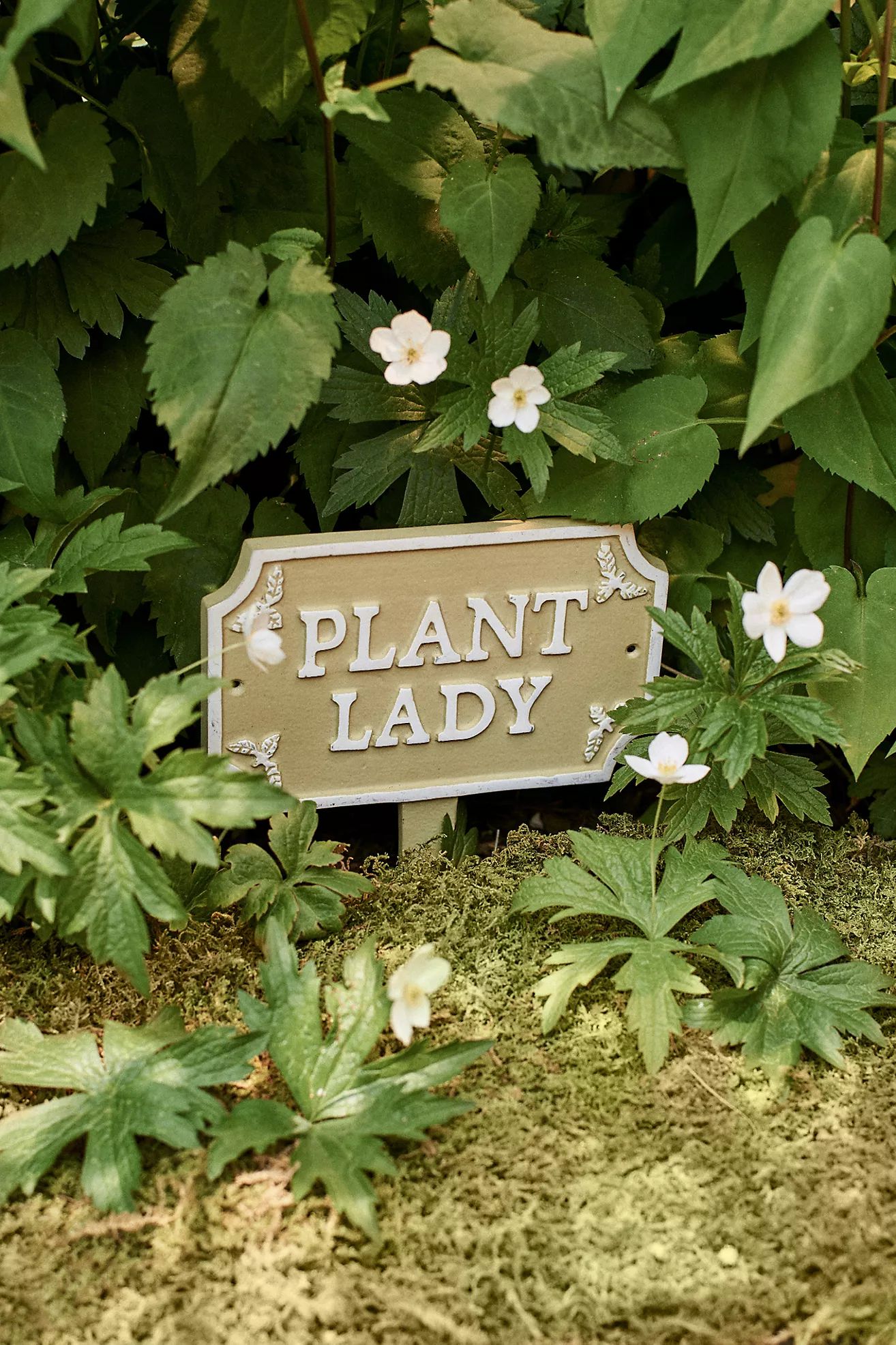 Plant Lady Staked Iron Sign | Terrain