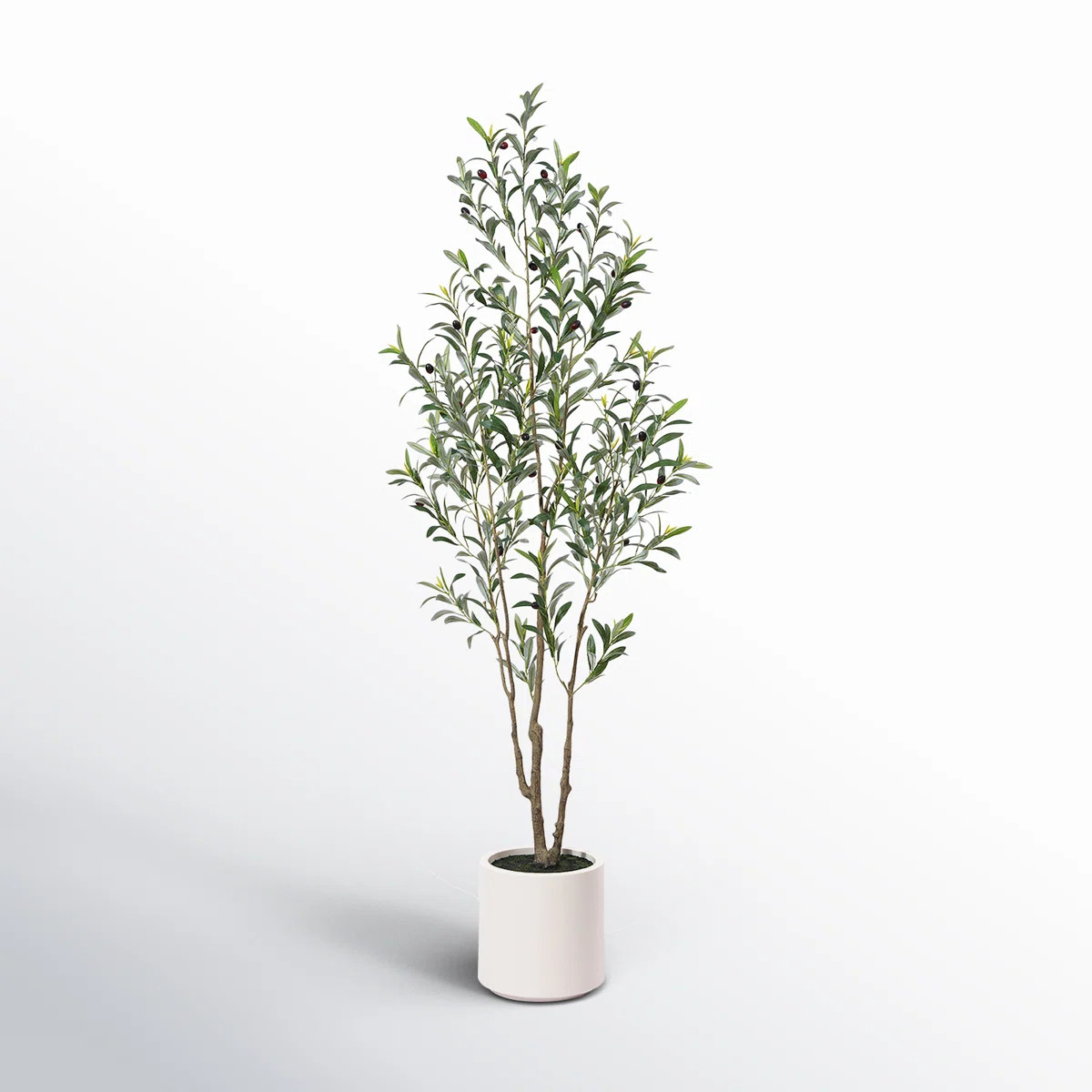 Altman Faux Olive Tree in White Planter, Lifelike Fake Olive Plant for Indoor and Outdoor Decor | Wayfair North America